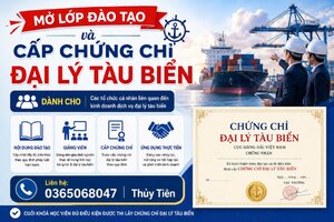 đại lý tàu biển.jpg